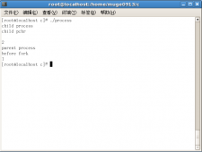 Linux C编程学习：进程，进程，进程！
