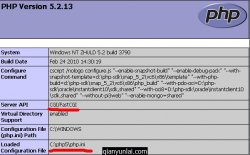 <strong>Window下PHP三种运行方式图文详解</strong>