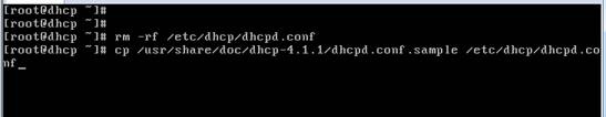Linux 下DHCP高级应用