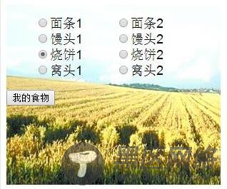 js布局实现单选按钮控件