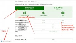 nodeJs的安装与npm全局环境变量的配置详解