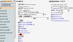 <strong>如何用phpmyadmin设置mysql数据库用户的权限</strong>