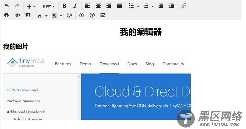 JS开发 富文本编辑器TinyMCE详解