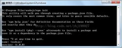 nodejs中用npm初始化来创建package.json的实例讲解