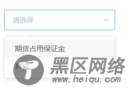 select选择器无法显示选中的内容(解决方法)