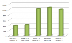 FreeBSD和Linux的Nginx静态文件性能对比测试