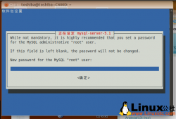 Ubuntu 11.04搭建LAMP[图文]