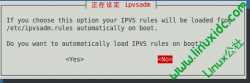 Ubuntu Server 10.4下LVS
