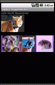 Android中Gallery和ImageSwitcher同步自动(滚动)播放图片