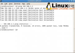 虚拟机的Linux系统ping通PC的Windows系统