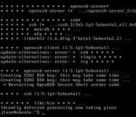 puuty登陆Ubuntu Server 不能安装ssh协议解决方法
