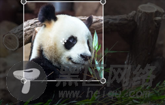 Angular实现图片裁剪工具ngImgCrop实践