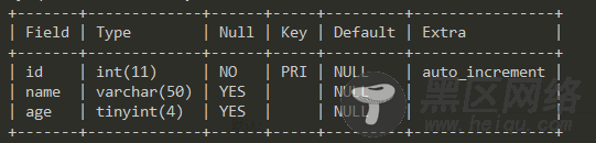 初识NodeJS服务端开发入门（Express+MySQL）