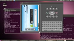 Ubuntu 10.04下编译Android 2.2源码