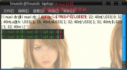 彩色字符：个性化Ubuntu Linux终端