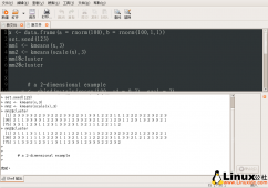 Ubuntu 下编写 R 脚本的利器