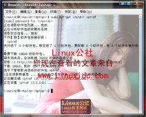 Ubuntu 下安装使用命令行的网络监视工具IPTraf[图文