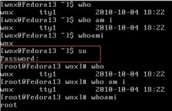 <strong>技巧分享 实现Linux的whoami命令</strong>