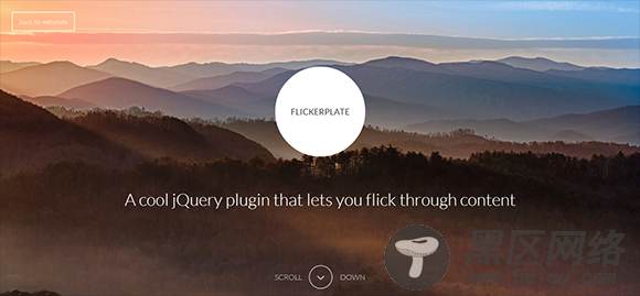 Flickerplate