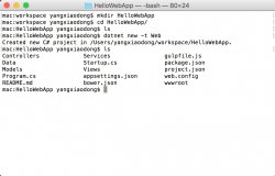 详解Asp.Net Core 发布和部署（ MacOS + Linux + Nginx ）