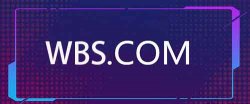 价值百万的三声母域名WBS.com被盗