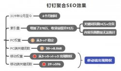 钉钉6个月权3到权7，利用聚合页SEO快速提升网站