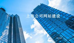 能够给上市公司做网站 意味着什么？