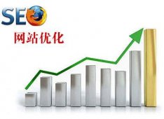 怎么从网站流量来源看网站质量问题