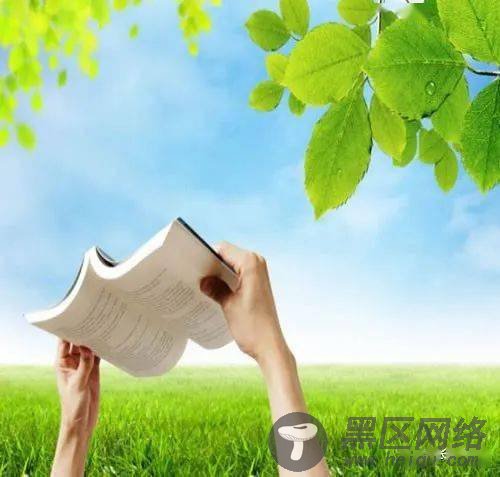 资深站长干货：小说网站从建立到盈利全解析