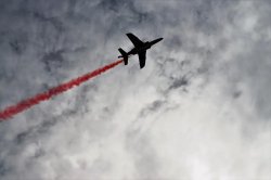 宪政爱国主义：对“爱国行为”的一种解释