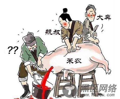 1618域名平台崩盘：涉及上亿资金