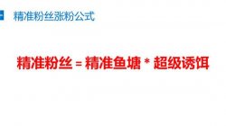 0成本，日涨粉1000+，新媒体小白也能实操的引流