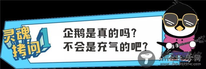 真企鹅来了！金华梦幻冰雪节来袭！388元门票全城免费送！地点在这里....
