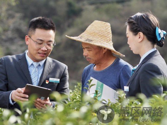 福建：大數據“畫像”，破解融資難融資貴