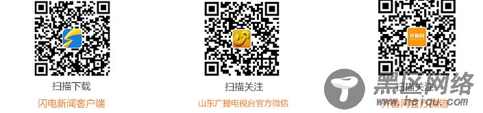 中英古生物学家揭秘1亿年前昆虫真实色彩