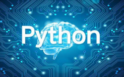 <strong>Python（计算机程序设计语言）</strong>