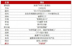 独家！解密黑马房企新力10周年的新大招