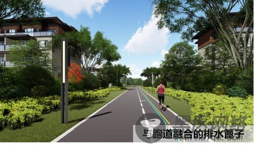 独家！解密黑马房企新力10周年的新大招