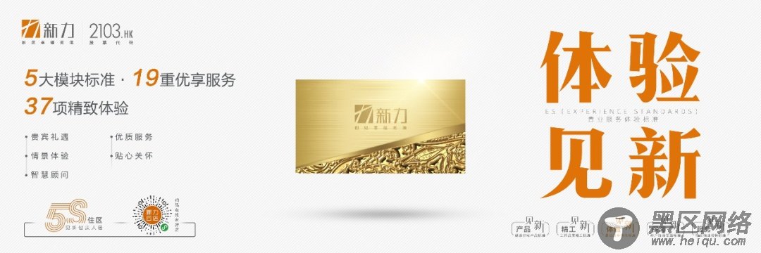 独家！解密黑马房企新力10周年的新大招