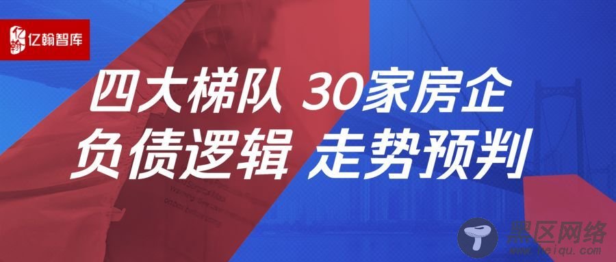独家！解密黑马房企新力10周年的新大招