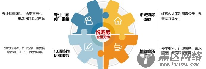 独家！解密黑马房企新力10周年的新大招