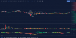 OKEx早报：FATF 计划加强加密交易所全球监管，劳