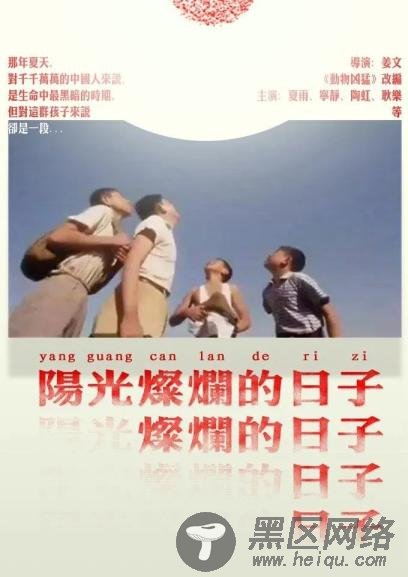 侨胞宅家不无聊！解密经典电影《阳光灿烂的日