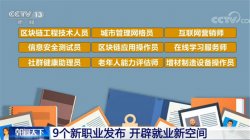 9个新职业发布 开辟就业新空间
