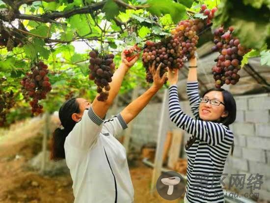 太硬核了!解密“好客山东”五一旅游“揽客”举措