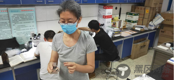 110万标本、DNA数据库……内蒙古科学家破译昆虫