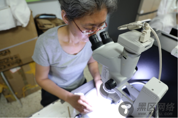 110万标本、DNA数据库……内蒙古科学家破译昆虫