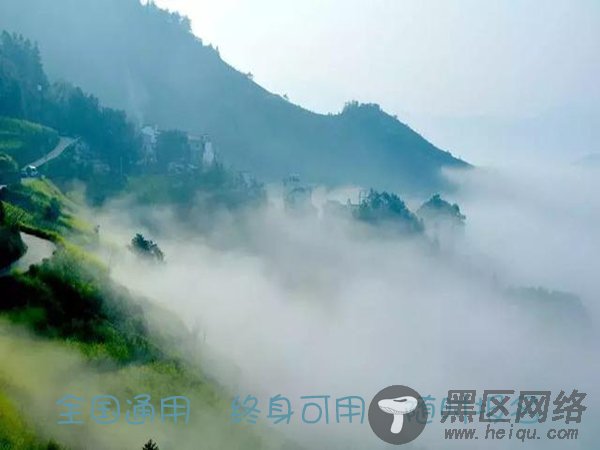 深度解密：机动车驾驶教练员证报名入口学历要求,年薪多少?