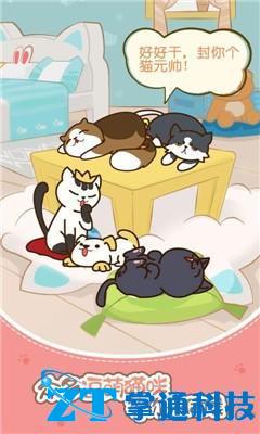 猫咪小家