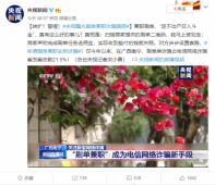 央视曝光刷单兼职诈骗骗局 360借条安全专家揭秘